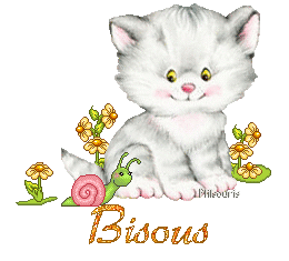 cute cat 1990