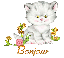 cute cat 1990