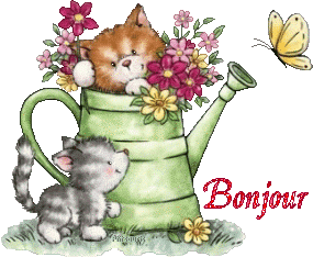 2chatons21047