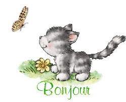 butterfly-cat21048