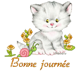 cute cat 1990