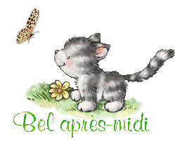 butterfly-cat21048