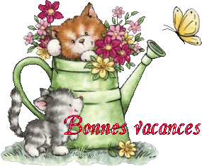 2chatons21047