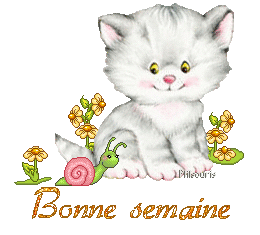 cute cat 1990