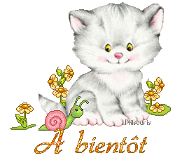 cute cat 1990