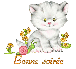 cute cat 1990