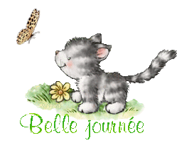 butterfly-cat21048