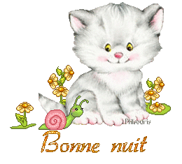 cute cat 1990