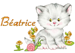 chat1990