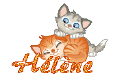 chatons-1975