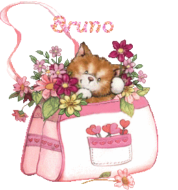 2chatons21047