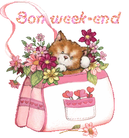 2chatons21047