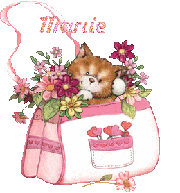 2chatons21047