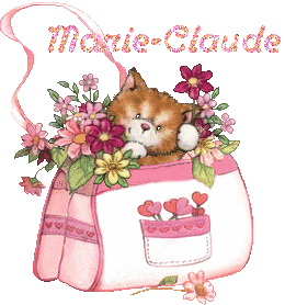 2chatons21047