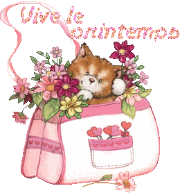 2chatons21047