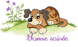 dog5