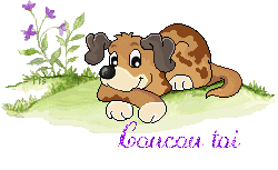dog5