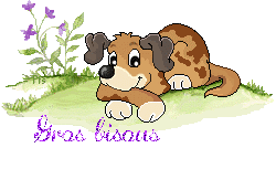 dog5