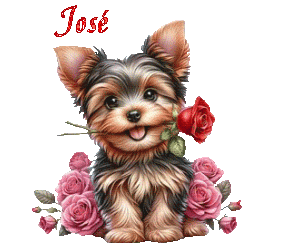 st_valentin 25012