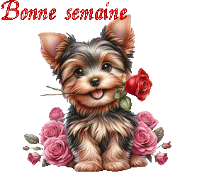 st_valentin 25012