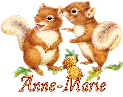 squirrel-20117