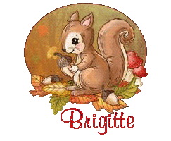 squirrel-25105