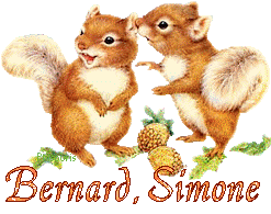 squirrel-20117