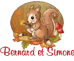squirrel-25105