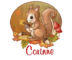 squirrel-25105