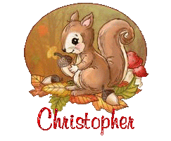 squirrel-25105