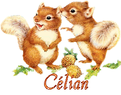 squirrel-20117