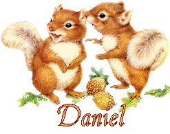 squirrel-20117