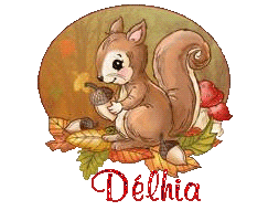 squirrel-25105