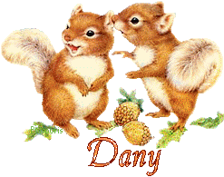 squirrel-20117