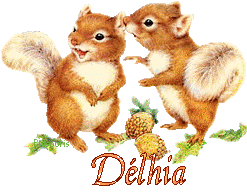 squirrel-20117