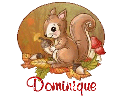 squirrel-25105