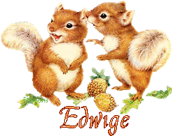 squirrel-20117