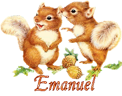 squirrel-20117