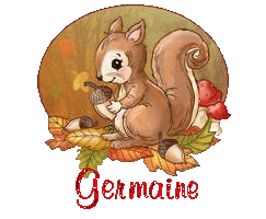 squirrel-25105