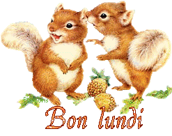squirrel-20117
