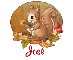 squirrel-25105