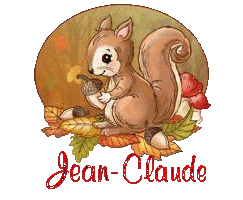 squirrel-25105
