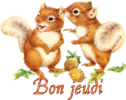 squirrel-20117