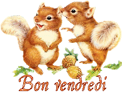 squirrel-20117