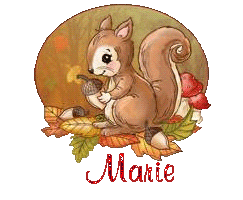 squirrel-25105