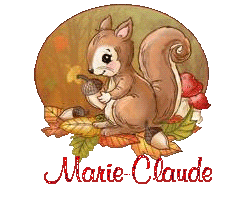 squirrel-25105