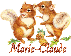 squirrel-20117