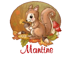 squirrel-25105