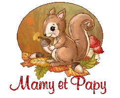 squirrel-25105