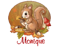 squirrel-25105